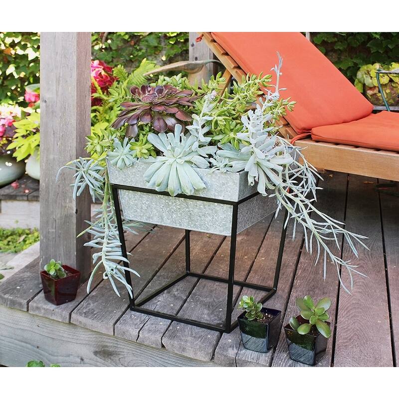 Achla Designs Small Indoor Outdoor Arne Plant Stand With Deep Galvanized Tray, 14 Inch Tall, Black Powder Coat Finish
