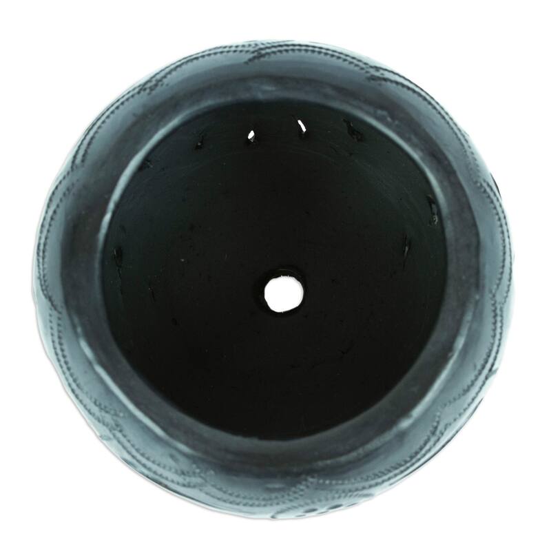 Novica Handmade Peacock Luxury Barro Negro Flower Pot