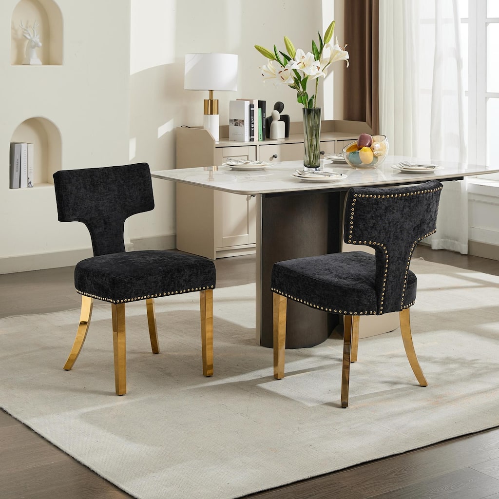 Mid Century Modern Dining Chairs Set of 2