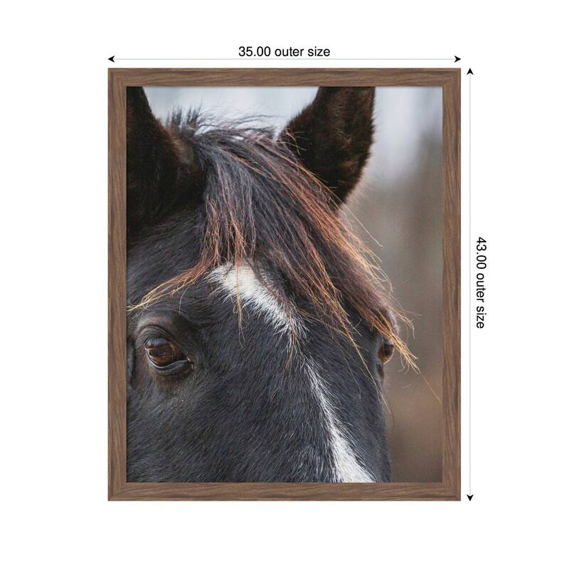 Kate and Laurel Black and White Horse by Emiko and Mark Franzen F2 Images Framed Wall Art Print