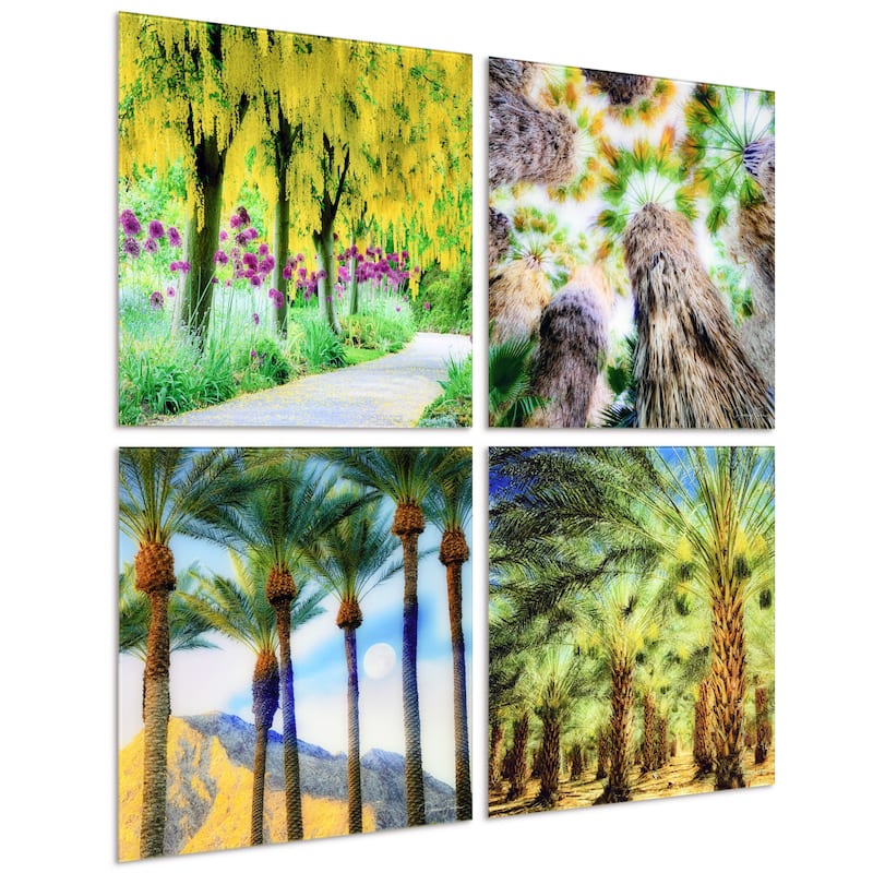 "Palm Tree Groves" Frameless Free Floating Reverse Printed Tempered Glass Nature Scapes Wall Art