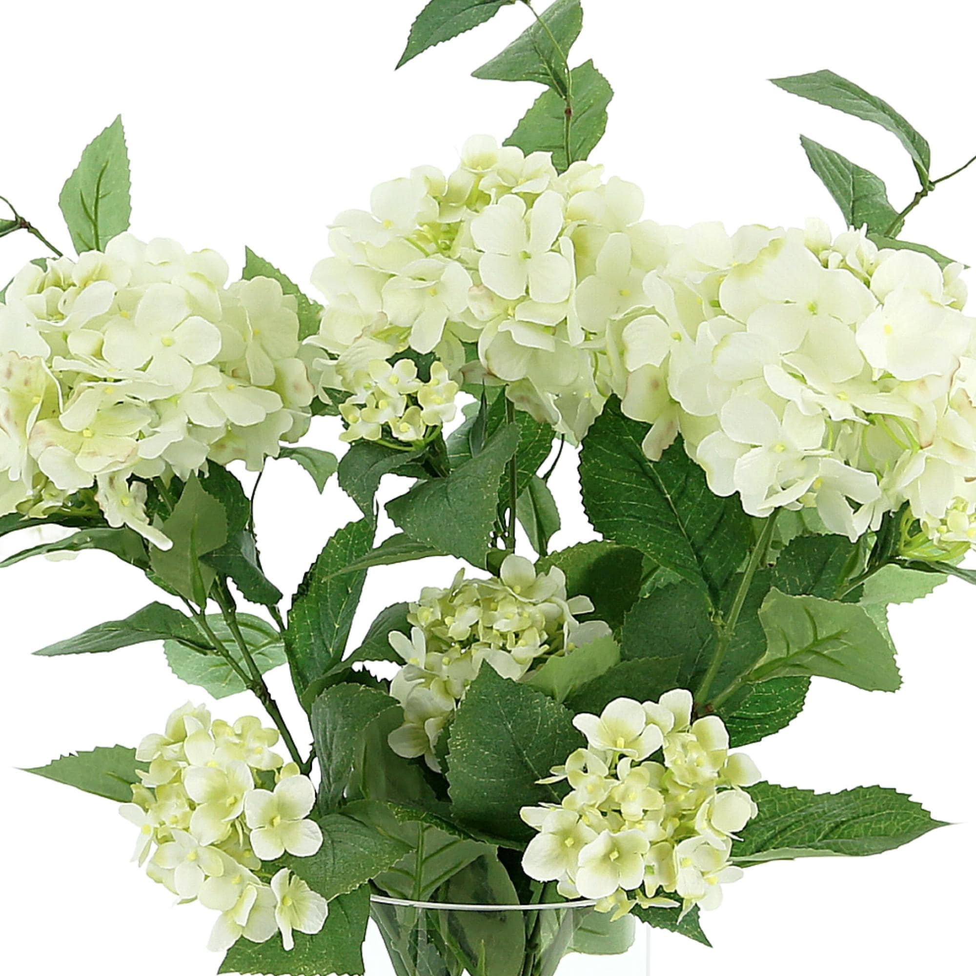 Hydrangea Floral Arrangement in a Clear Glass Vase - Bed Bath