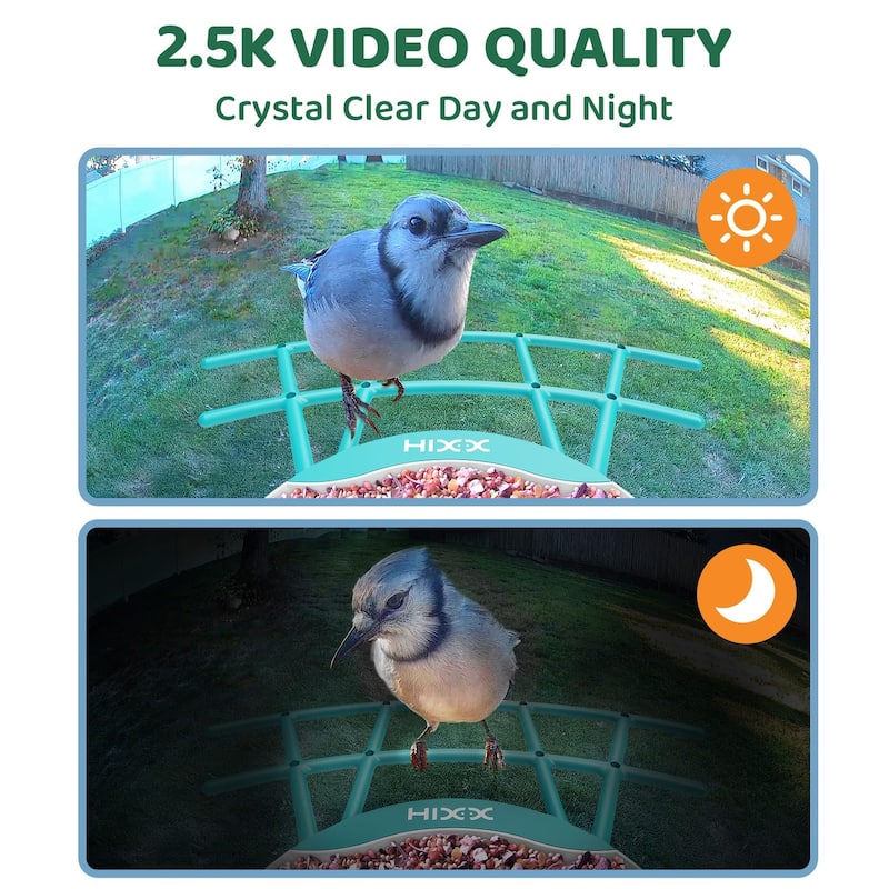 Smart Bird Feeder with Camera 2K HD Live