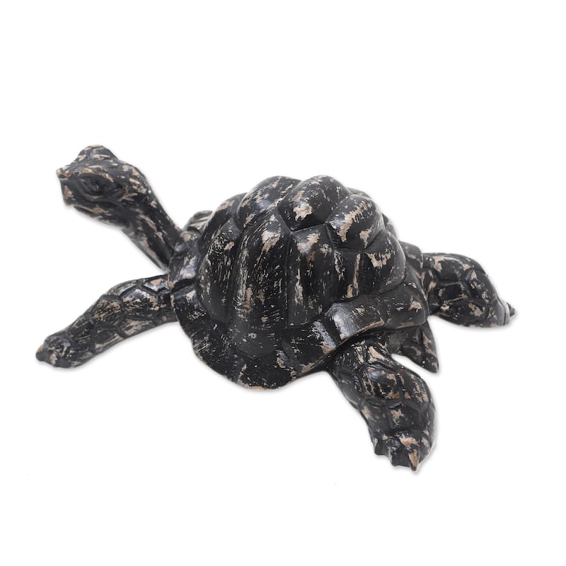 Novica Handmade Crawling Tortoise Wood Statuette