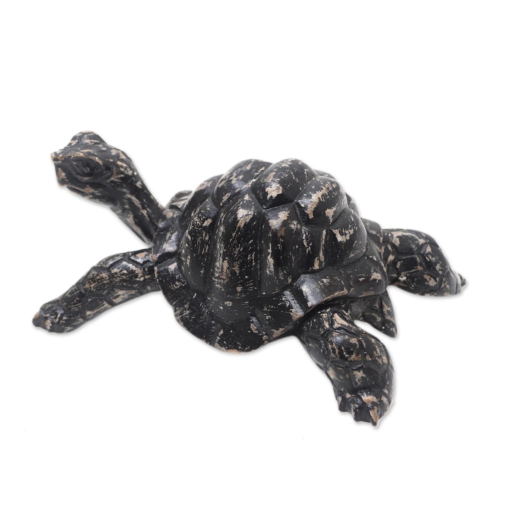 Novica Handmade Crawling Tortoise Wood Statuette