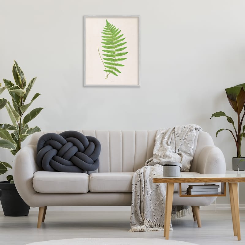 Stupell Single Fern Branch Framed Giclee Art Design By Phillipa Katz