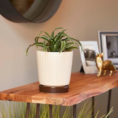 Southern Patio Alice Ceramic Indoor Pot Planter, 2-Pack - 8" Diameter (2-pack)