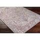 Adenia Vintage Medallion Printed Area Rug