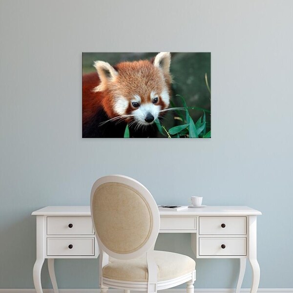 Easy Art Prints David Wall's 'Stingray' Premium Canvas Art