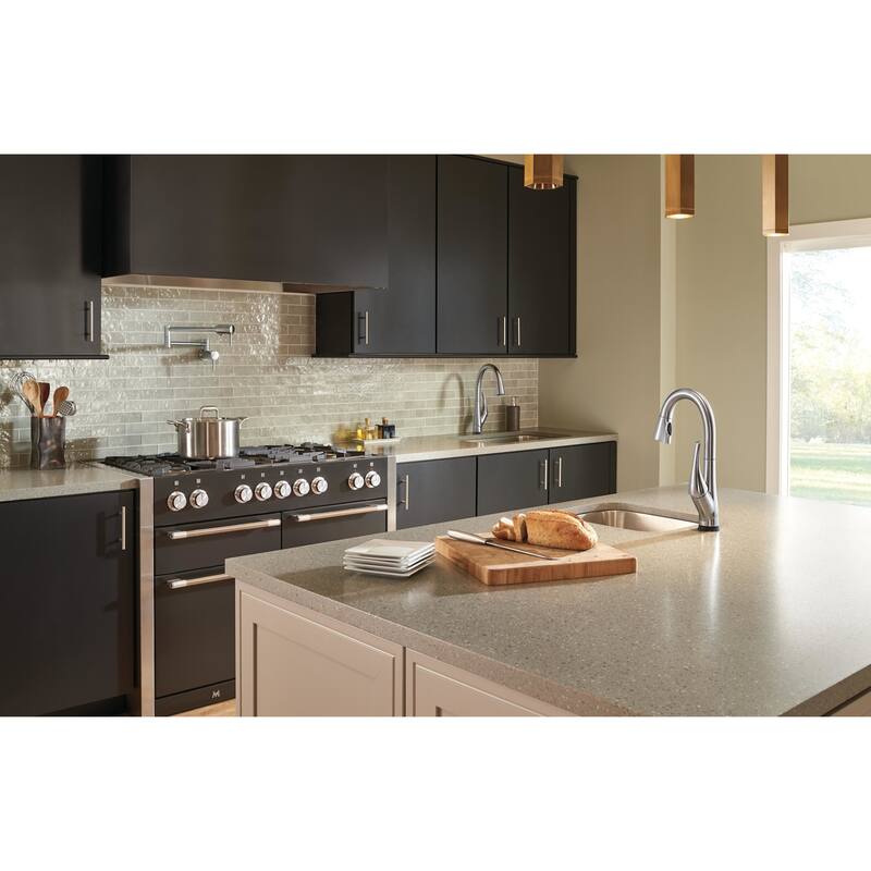 Delta 24" Wall-Mounted Pot Filler