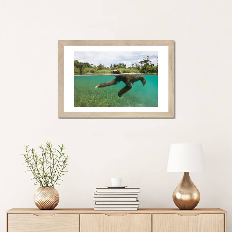 iCanvas "Pygmy Three-Toed Sloth Swimming In Mangrove Forest, Isla Escudo De Veraguas, Panama" by Suzi Eszterhas