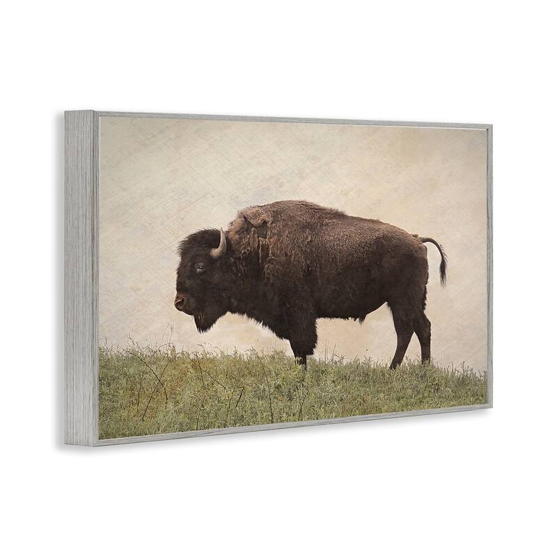 Stupell Serene Buffalo on Country Hill Framed Giclee Art Design By Steve Toole