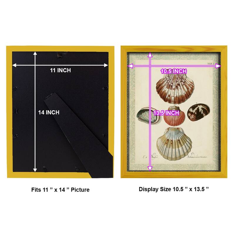 Bookplate Shells III -Framed Print w/glass-Cherry Red