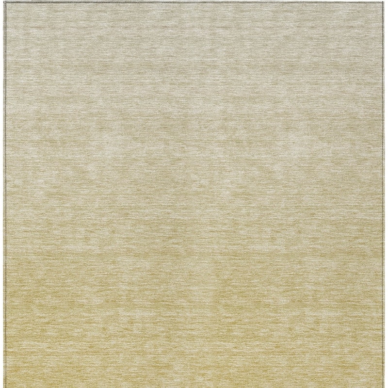 HomeRoots Ombre Transitional Rectangle Outdoor Rug