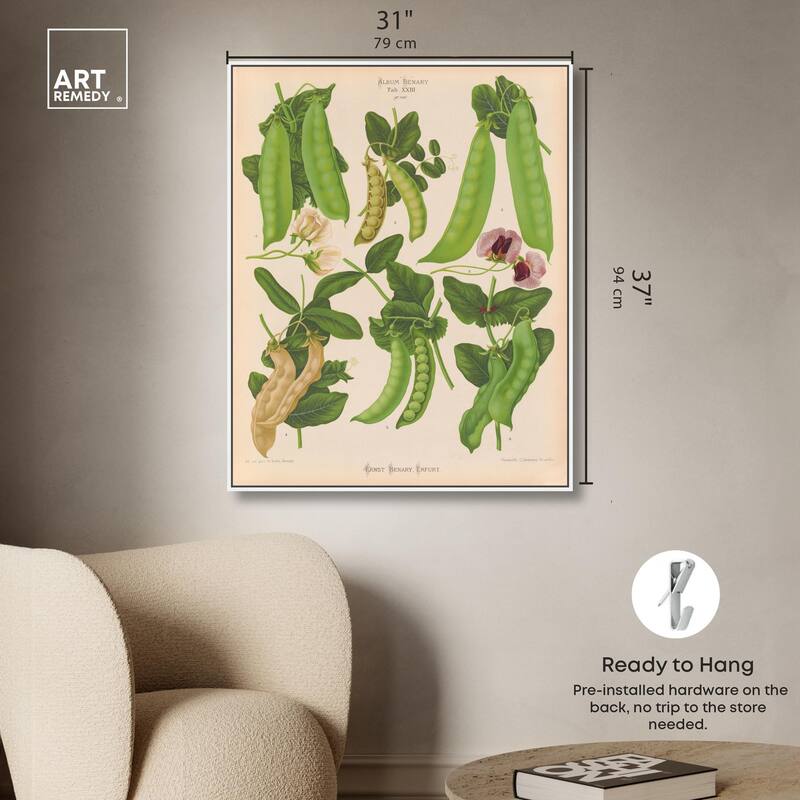 Podded Peas from Benary 1876 Canvas by Art Remedy
