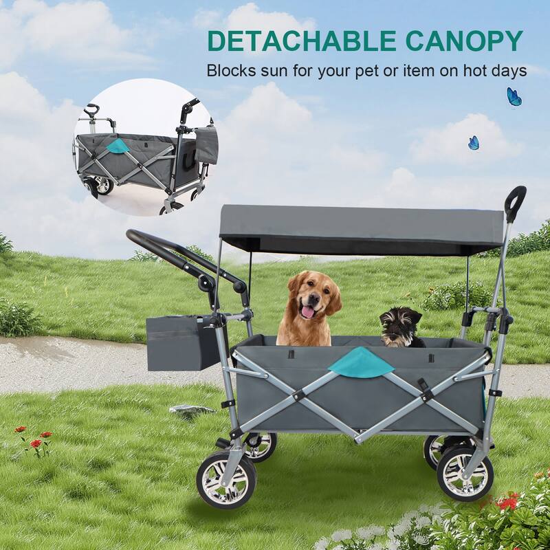 Folding Wagon with Removable Canopy