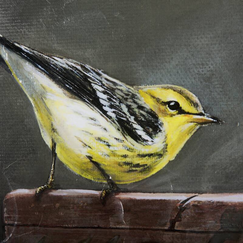 Graceful Poise IV (Blackburnian Warbler) Framed Art Print