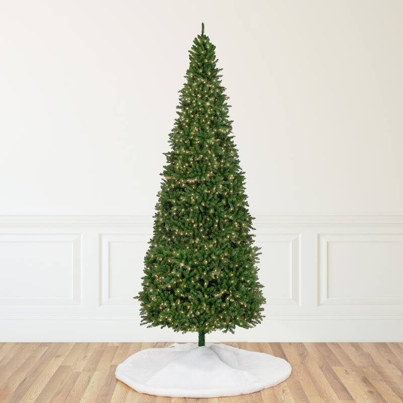 15' Genoa Fraser Fir Slim Artificial Christmas Tree, Clear Lights - over-10-feet