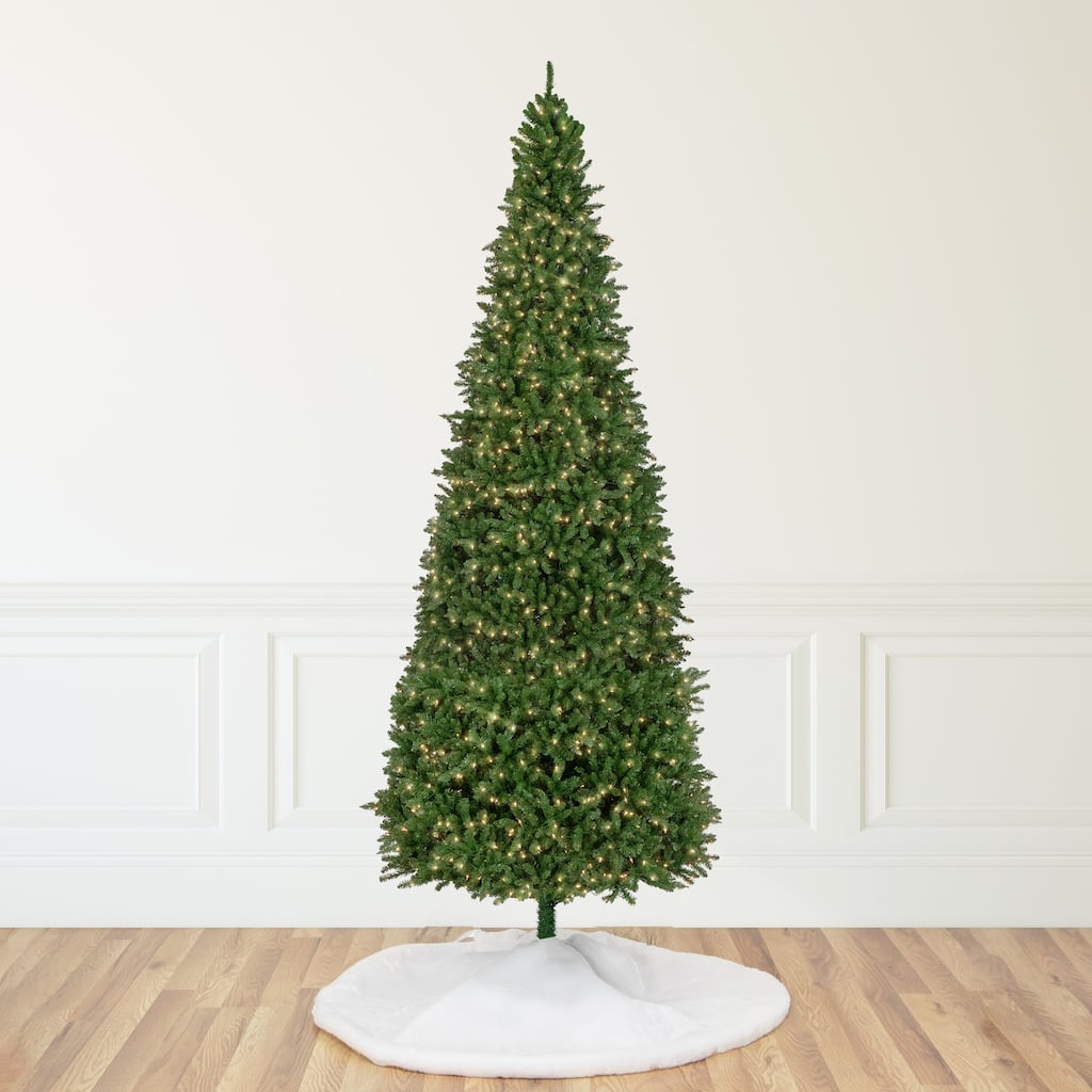 15' Genoa Fraser Fir Slim Artificial Christmas Tree, Clear Lights - over-10-feet