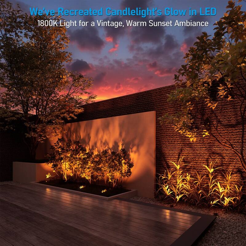 12 Pack Landscape 5W Shielded Well Light Low Voltage 5CCT Selectable