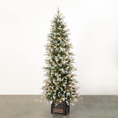 7' Sullivans Potted Lit Snowy Pine Tree, Green - 25"L x 25"W x 6' 9"H
