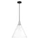 Option Clear / Black Antique Brass