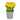 9" Yellow Tulip Bouquet in Metal Pot