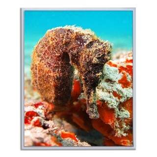 Ready2HangArt 'Seahorse' Framed Canvas Wall Art