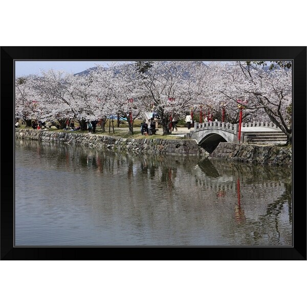 "Cherry Blossoms of Ogi Park, Ureshino, Saga, Japan" Black Framed Print