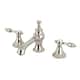 Option Polished Nickel