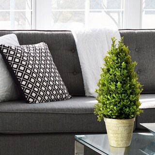 Plastic Potted Spring Boxwood Cone Topiary 16