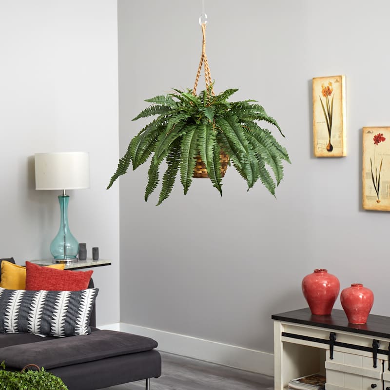 Large Boston Fern Hanging Basket - Green