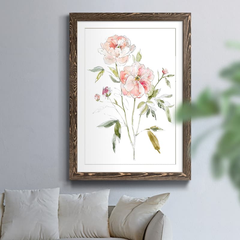 Sketchbook Cottage Rose I-Premium Framed Print - Ready to Hang