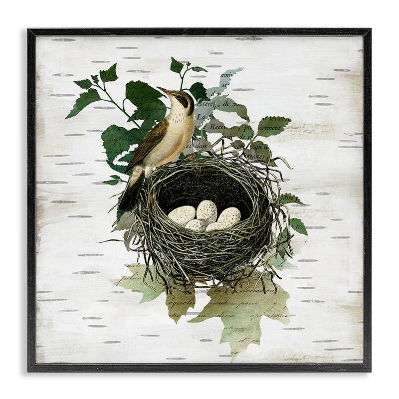 Stupell Vintage Bird Nest & Flora Framed Giclee Art Design By Susan Arnot - 12 x 12 - Black