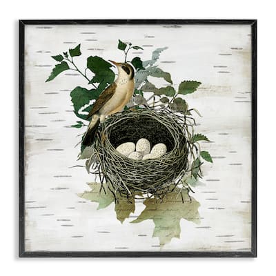 Stupell Vintage Bird Nest & Flora Framed Giclee Art Design By Susan Arnot