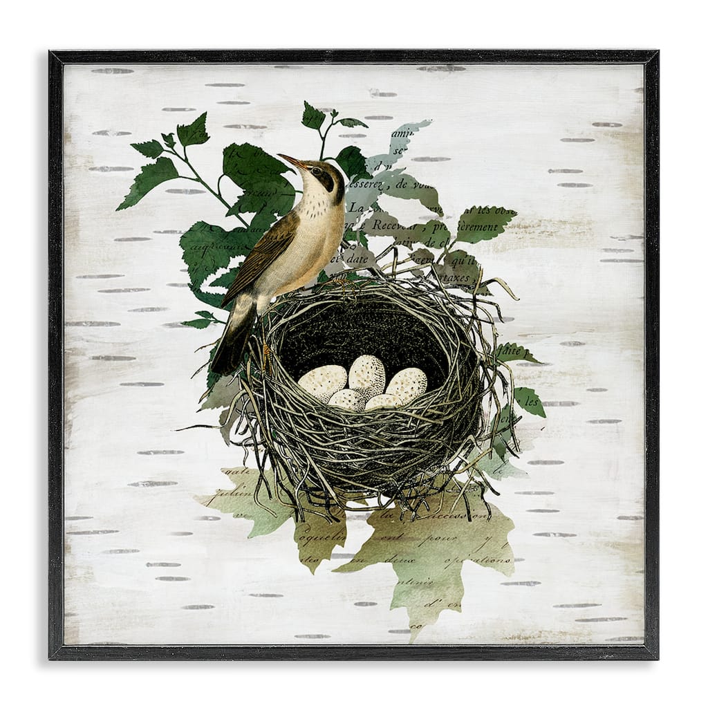 Stupell Vintage Bird Nest & Flora Framed Giclee Art Design By Susan Arnot
