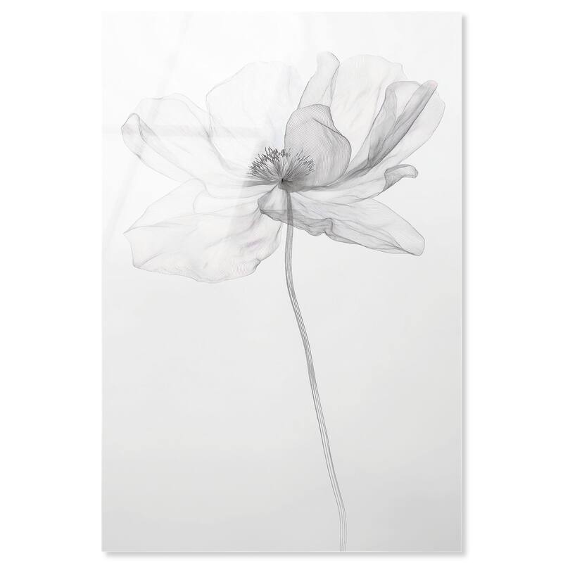 Fragile Beauty I Acrylic by Art Remedy, Ready to Hang - 30" x 45"