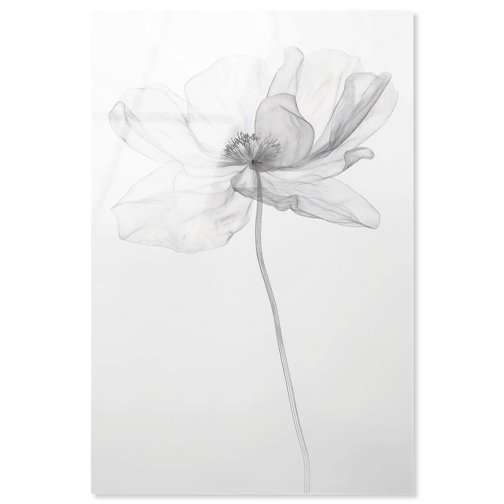 Fragile Beauty I Acrylic by Art Remedy, Ready to Hang