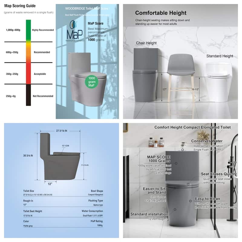 One-Piece Dual Flush Toilet 1.6/1.1GPF, Elongated ADA, 12" S-Trap Grey