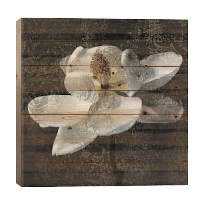 Magnolia II Print On Wood by John Seba - Multi-Color