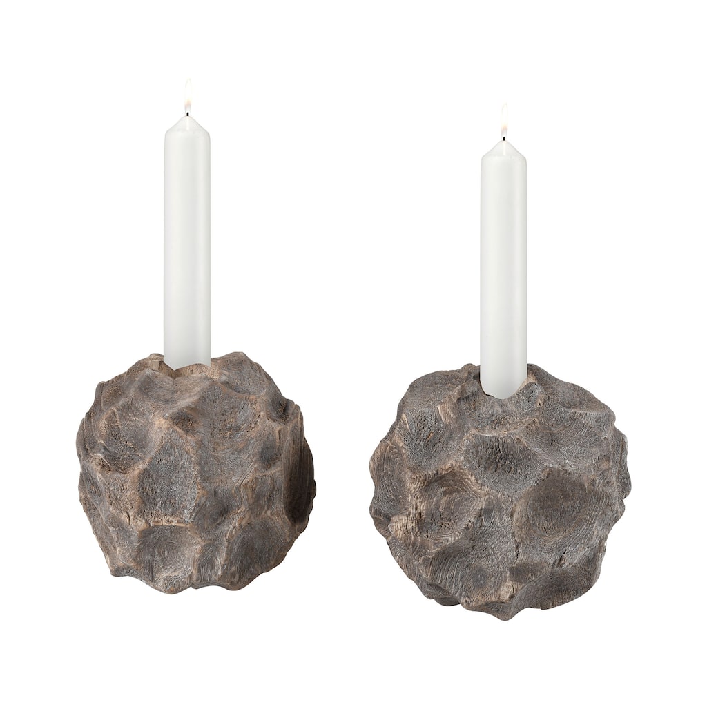 Elk Home Beachcomber Natural Wood Decorative Object