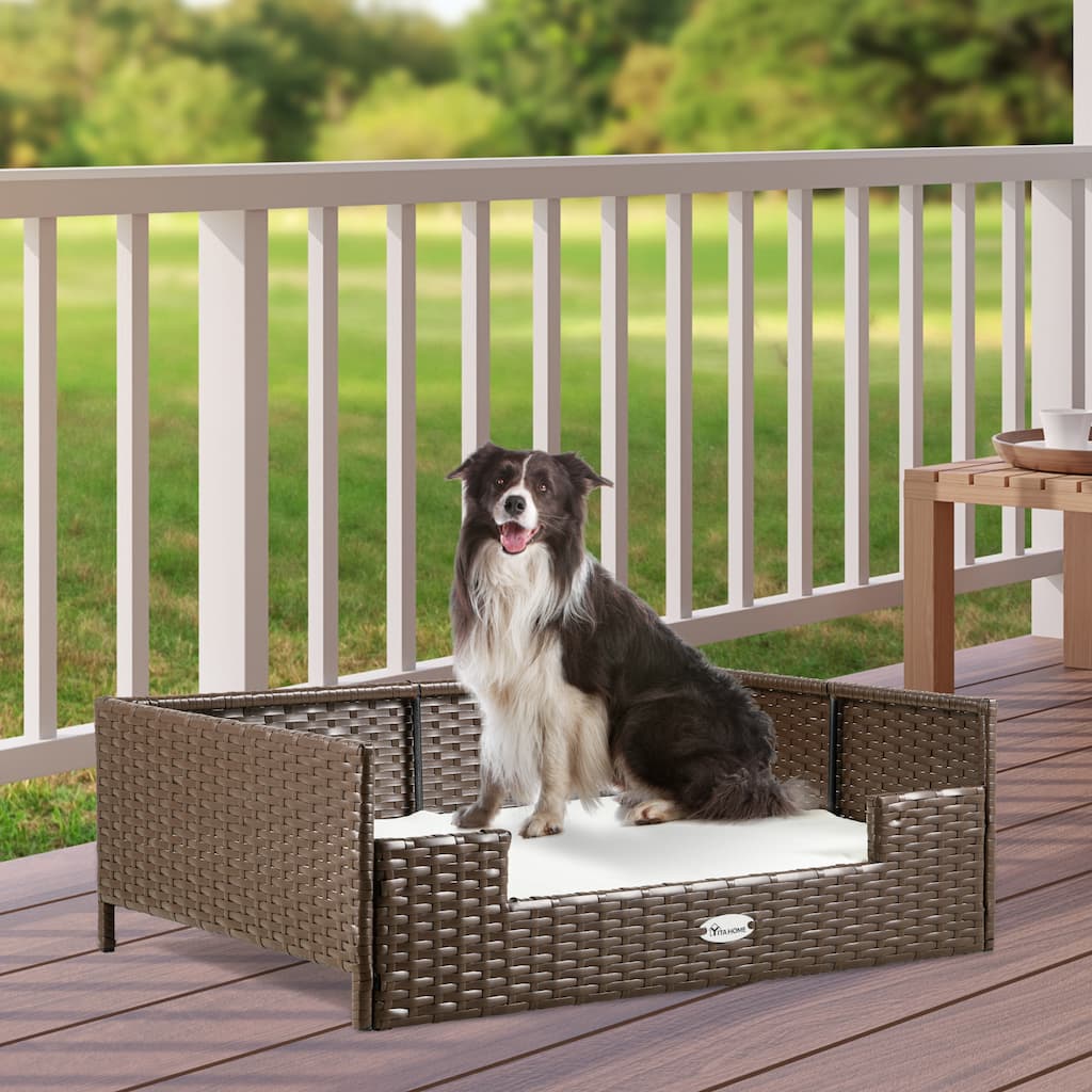 Moasis Elevated Rattan Dog Sofa with Cusion
