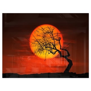 Birds and Tree Silhouette at Sunset - Extra Large Glossy Metal Wall Art ...