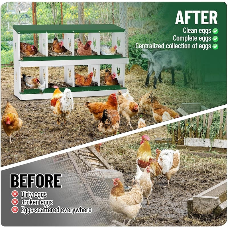 Wall-Mount or Free-Standing Metal Chicken Nesting Box for Hens, Green