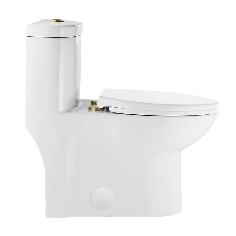 Besanon One Piece Elongated Toilet Dual Flush, Brushed Gold Hardware 1.1/1.6 Gpf - 27.75" x 15.55" 28.4"