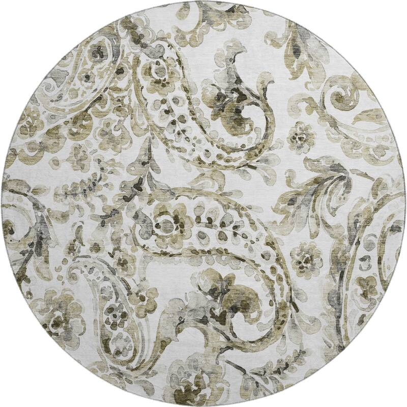 Premium Washable Super Soft Modern Paisley Mayfield Rug