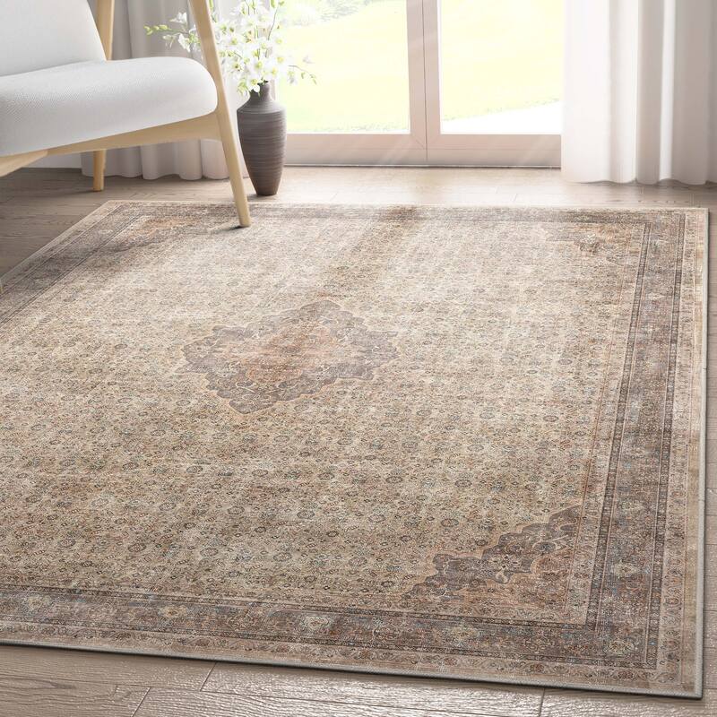 Well Woven Asha Lilith Persian Oriental Vintage Area Rug