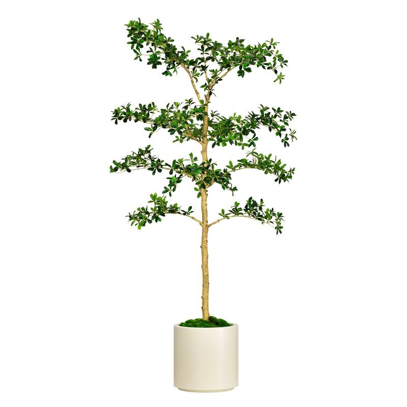 6.5 ft. Artificial Shady Lady Tree in White Decor Pot - 37.5 in. W x 29.5 in. D x 78.75 in. H - 37.5 in. W x 29.5 in. D x 78.75 in. H