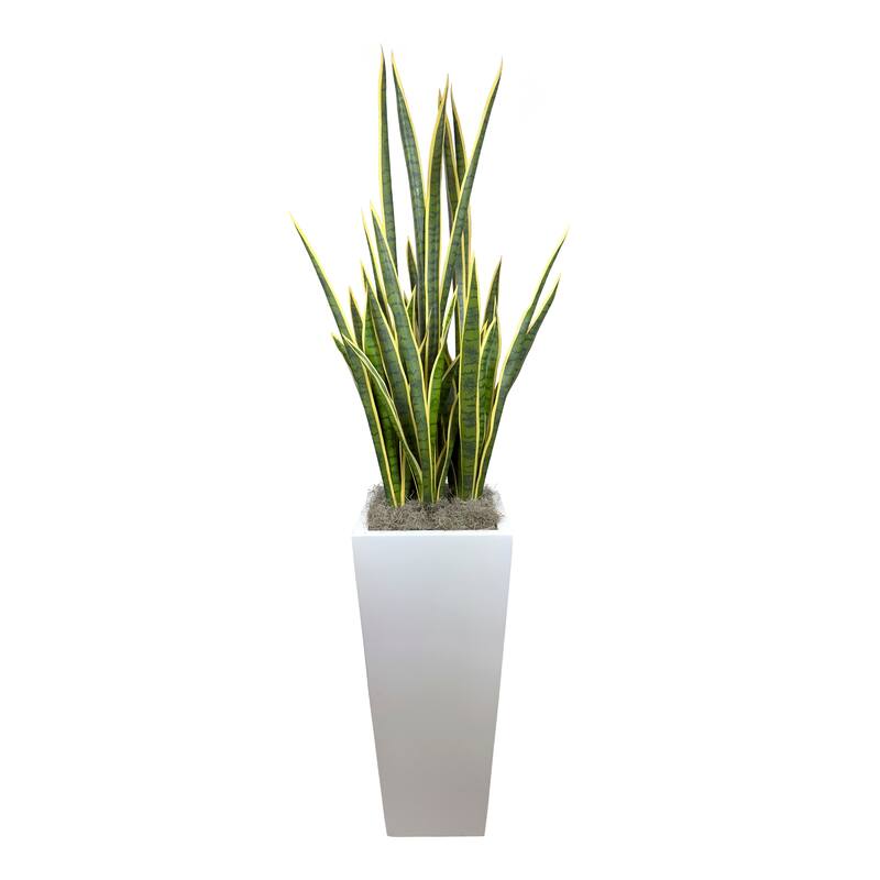 6 ft Faux Snake Plant in Fiberstone Pot - Green