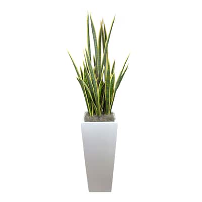 6 ft Faux Snake Plant in Fiberstone Pot - Green